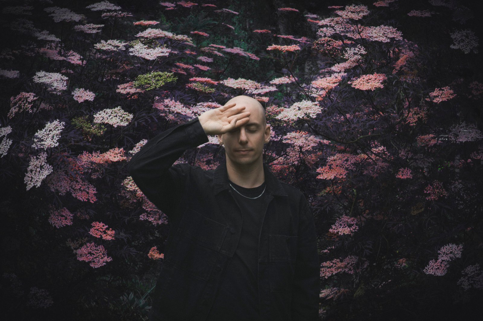 Palms Trax – Press Photo 1