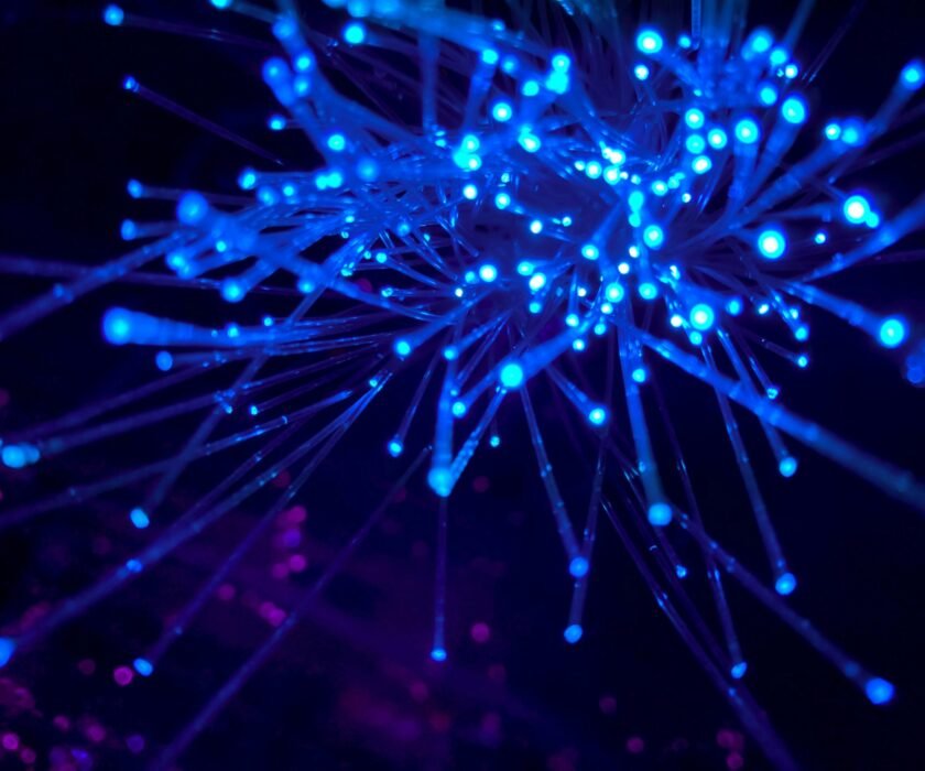 jj-ying-8bghKxNU1j0-unsplash