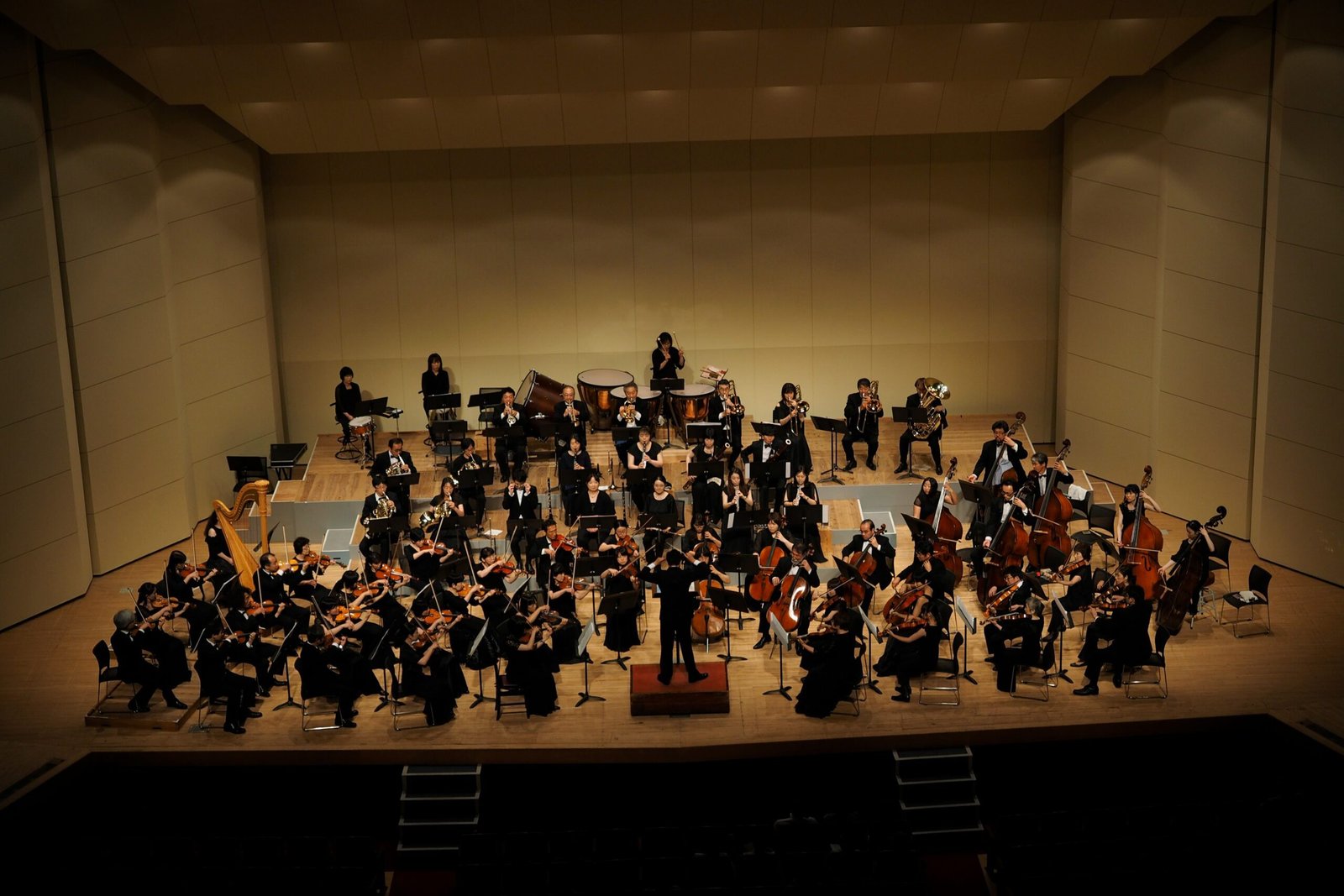 kazuo-ota-NNVNasAXPWQ-unsplash